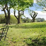 Il Riccio E La Castagna *