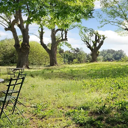 Il Riccio E La Castagna Villa *